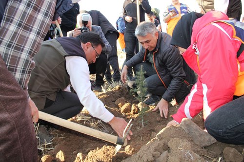 Sayın Kaymakamımız İlhan ABAY 11 Kasım Milli Ağaçlandırma Günü Etkinliğine Katıldı